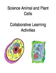 Check spelling or type a new query. Draw And Label Plant Cell Worksheets Teaching Resources Tpt