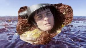 After Harvest (Official Video)