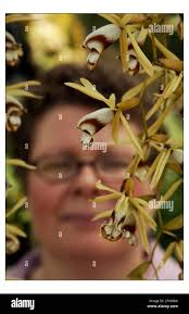 Margaret ramsay Cut Out Stock Images & Pictures