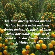 Pin By Carlos Garcia Garcia On Versiculos Biblicos Pumpkin Patch Pumpkin Outdoor