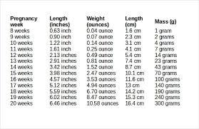 fetal weight weeks online charts collection