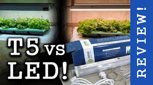 2 things to consider before buying. High End Leds Vs T5 Fluorescent Thrive Agritech Infinity Linear Review Lettuce Test Youtube