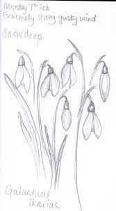 How To Draw Snowdrops Google Search Flower Drawing Drawings Diy Watercolor Painting