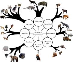 They had descended with modification from a common mainland ancestor. Dissent With Modification How Postcreationism S Claim Of Hyperrapid Speciation Opposes Yet Embraces Evolutionary Theory Evolution Education And Outreach Full Text