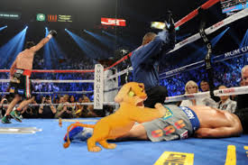 Pacquiao Vs Marquez Iv Gif Of Juan Manuel Marquez S Incredible Knockout Of Manny Pacquiao Bad Left Hook Manny Pacquiao Hbo Boxing Olympic Hero