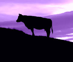 Nov 01, 2011 · el paciente presenta diarrea, irritabilidad y alteración de la curva de crecimiento. La Vaca Purpura O Por Que La Clave Del Exito De Una Empresa Es La Diferenciacion Euroforum