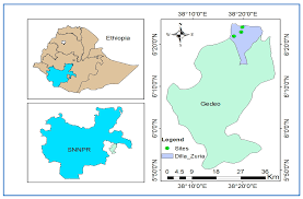 Image result for Pouteria adolfi-friederici