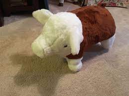 Hereford Pig Hereford Pigs Farm Animals Animals