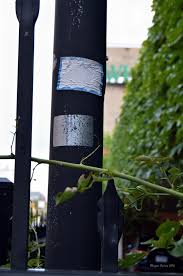 Bird On The Run Pittsburgh If There Is One Thing I Wish I Had More Of In This Blog And Collection It Would Have To Be A Little More Nature Since A Ma Blog Photo Objects