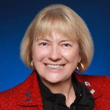 Carolina Mountain Homes