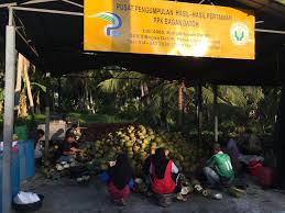 Maybe you would like to learn more about one of these? Syukur Alhamdulillah Syarikat Kami Diberi Kepercayaan Oleh Pihak Tuan Rumah Untuk Membekalkan Air Kelapa Muda Dlm Balang Sebanyak 4000 Biji Terimakasihdatoseritpm Terimakasihdatonajmuddindanfamily Pusat Pengumpulan Hasil Pertanian Kg Sungai