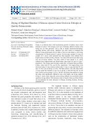 Image result for Oldeania alpina