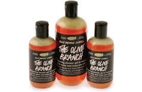 Google Image Result For Http Www Nycupcake Com Wp Content Uploads 2010 06 Lus Lush Products Shower Gel Lush Cosmetics