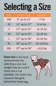 Measuring your dog for a harness is extremely important for their safety. Thunderdogs Malaysia Sizing Guide