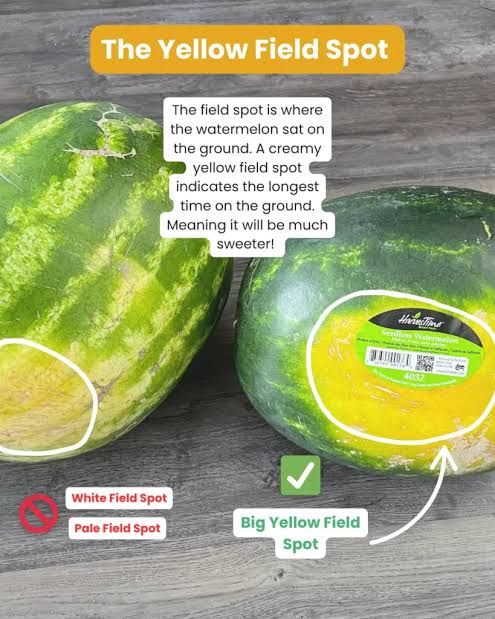 The Field Spot Indicator, AI generated