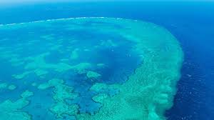 The great barrier reef is an extremely ancient, enormous host of living things, composed of living coral growing on dead coral dating back perhaps as much as twenty million years. Great Barrier Reef One Million Tonnes Of Sludge To Be Dumped Bbc News