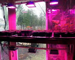 Check spelling or type a new query. Acke Led Grow Lights Full Spectrum Plant Lights Growing Lamps 12w For Indoor Plants Hydropoincs Pricepulse