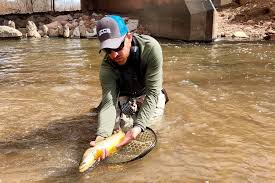 Fishing care package reports & reviews (34). After Decades Of Neglect Fountain Creek Holds New Promise For Colorado Springs Colorado Public Radio