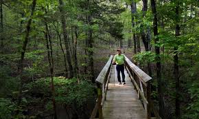 You are reading 25 best campgrounds in arkansas this weekend with friends back to top or more places to see near me today, what to do, weekend trips. Lake Fort Smith State Park Friends Group Posts Facebook