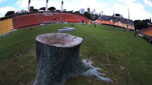 Meirelles/veja sp a queixa dos parcos frequentadores é reverberada pela pequena mas barulhenta associação viva pacaembu. Allegra Pacaembu Em Parceria Com 25 Galerias De Arte E 54 Artistas Se Despede Com Exposicao Arte Em Campo Antes Da Reforma Fotos Publicas