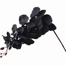 We did not find results for: 6pcs Silk Black Moth Orchids Phalaenopsis Butterfly Orchid Flower Big Size Heads For Wedding Decorative Artificial Flowers Super Deal B0a7 Goteborgsaventyrscenter