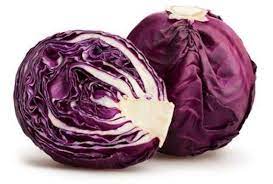 Organic Red Cabbage Seeds Vegetable Garden Open Pollinated Non Gmo Grow Indoors Outdoors Grow Beds Soil Hydroponics Aquaponics In 2021 Cabbage Seeds Artificial Food Coloring Red Cabbage