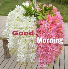 good morning photo के लिए इमेज परिणाम