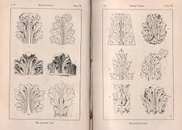 Image result for Acanthus