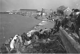 Check spelling or type a new query. Papendrecht Nederland Landschappen Holland