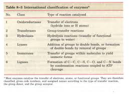 Chapter 8 Enzymes