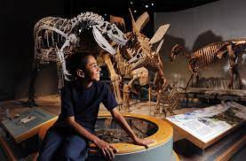 Exhibitions Denver Museum Of Nature Science