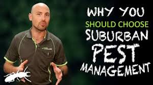 They suffer more from pest and disease problems. Childcare Pest Control Guaranteed Safe And Child Friendly