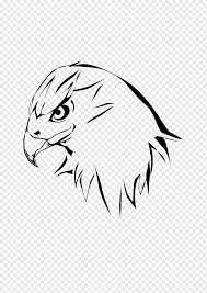 Maybe you would like to learn more about one of these? Drawing Red Tailed Hawk Eagle Hawk White Mammal Animals Png Pngwing
