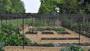 Usually a cage will consist of a tubular structure which is built around the growing area and enclosed by netting, mesh or fleece. Fruit Cages Steel Customer Gallery