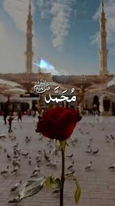 Umar Khawar (u4umar2008)