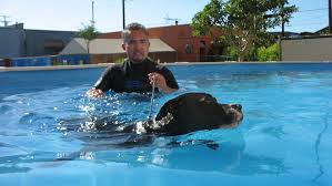 Swimming pool, obstacle course, and hiking trails. Dog Whisperer 3 Episodes 6 10 Photos The Dog Whisperer 3 National Geographic Channel Asia