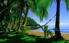 We did not find results for: Costa Rica Wallpapers Top Free Costa Rica Backgrounds Wallpaperaccess