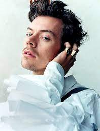 Pin By Jhoshua On Harry Styles In 2020 Harry Styles Photoshoot Harry Styles Photos Harry Styles Pictures