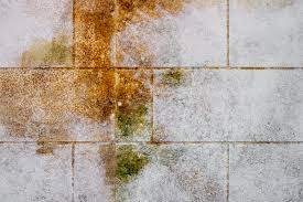 After the mold has been scrubbed off your concrete walls, allow your mold remover to sit for 15 to 20 minutes before proceeding to dry your walls. What Is Orange Mold And Is It Dangerous Water Mold Fire Restoration