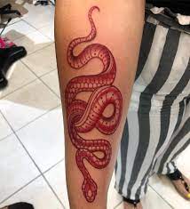Brissa Behrens On Instagram Cool Red Snake For My Favorite Kerrrrithgeorge Girlswithtattoos Snaketattoo Redta Red Tattoos Pretty Tattoos Tattoos For Guys