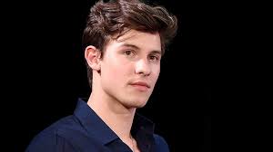Shawn Mendes confiesa que se siente solo tras su ruptura con Camila Cabello