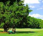 Goddard State Park Golf Course | Warwick, RI 02818