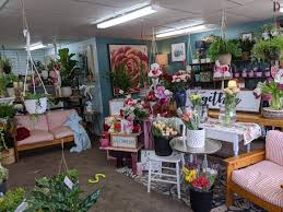 MILLICENT MCKAY: Want to add a little greenery to your home? Give these  houseplants a try