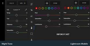 Periksa gangguan tidur yang dialami. Rumus Lightroom Night Tone Efeknya Beda Infokuy