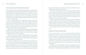 Showing relevant, targeted ads on and off etsy. Flowerpaedia 1000 Flowers And Their Meanings By Cheralyn Darcey 9781925429466 Booktopia