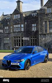 Image result for Misano Blue 2021 Alfa-Romeo