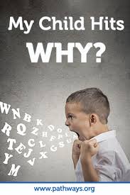 Why Do Kids Hit Preschoolers Hitting Pathways Org Children Hitting Social Emotional Development Emotional Development