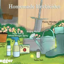 Kill those weeds with our homemade weed killer. 6 Homemade Herbicides To Kill Weeds Naturally