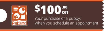 If you like what you see, be sure to inquire us today! Petland Hoffman Estates Illinois Premium Pets Puppies Supplies
