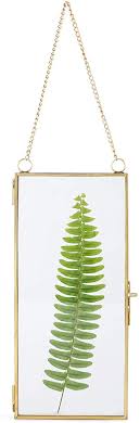 Crafted from porcelain and pressed with a delicate fern pattern, this serving board adds a sophisticated, natural touch to the table. 10 X 20 Copper Double Glass Pressed Ferns Wall Hanging Photography Craft Supplies Tools Jewellerymilad Com